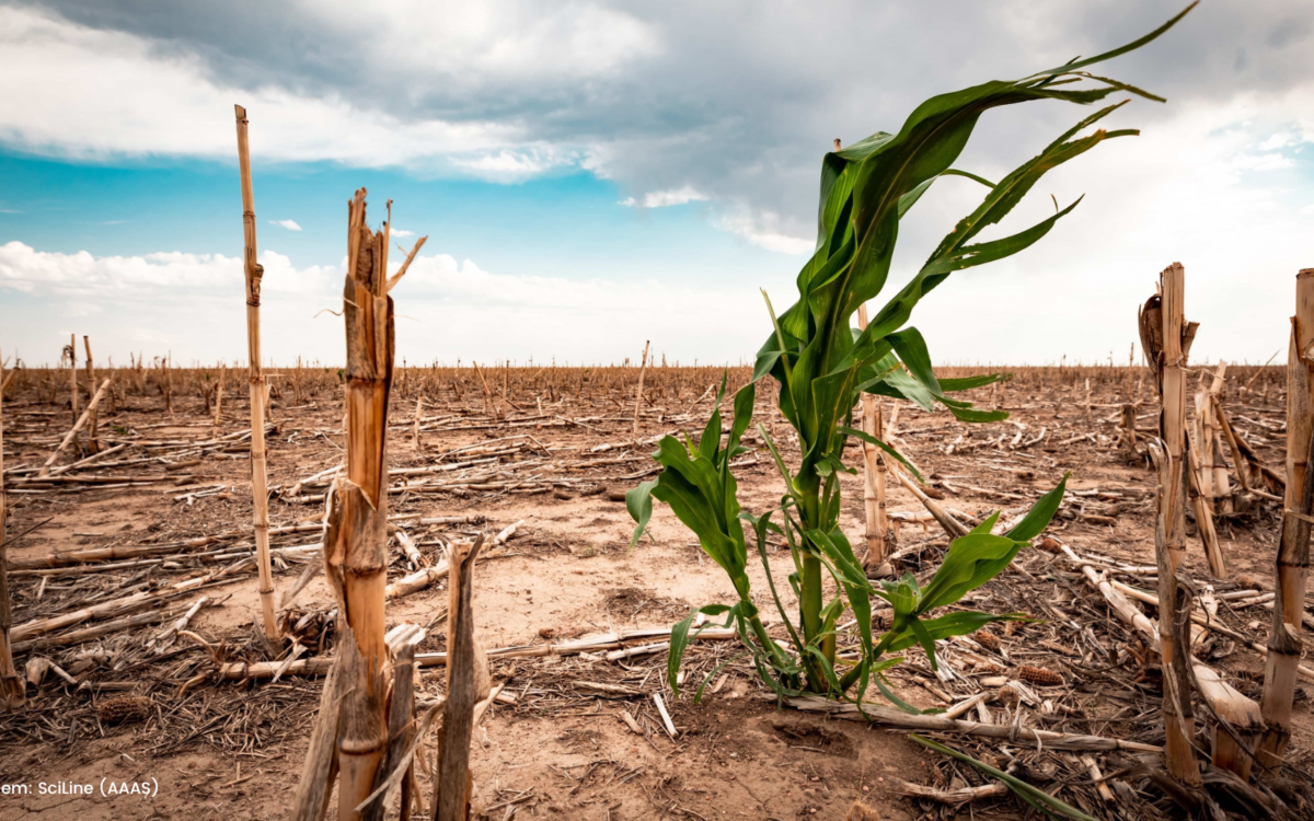 Aquecimento Global: O que o agronegócio tem com isso?