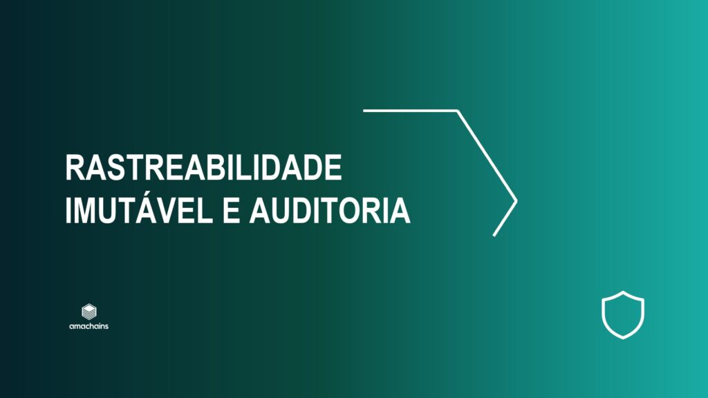 Rastreabilidade imutável: o que um verificador precisa ver na sua pegada de carbono