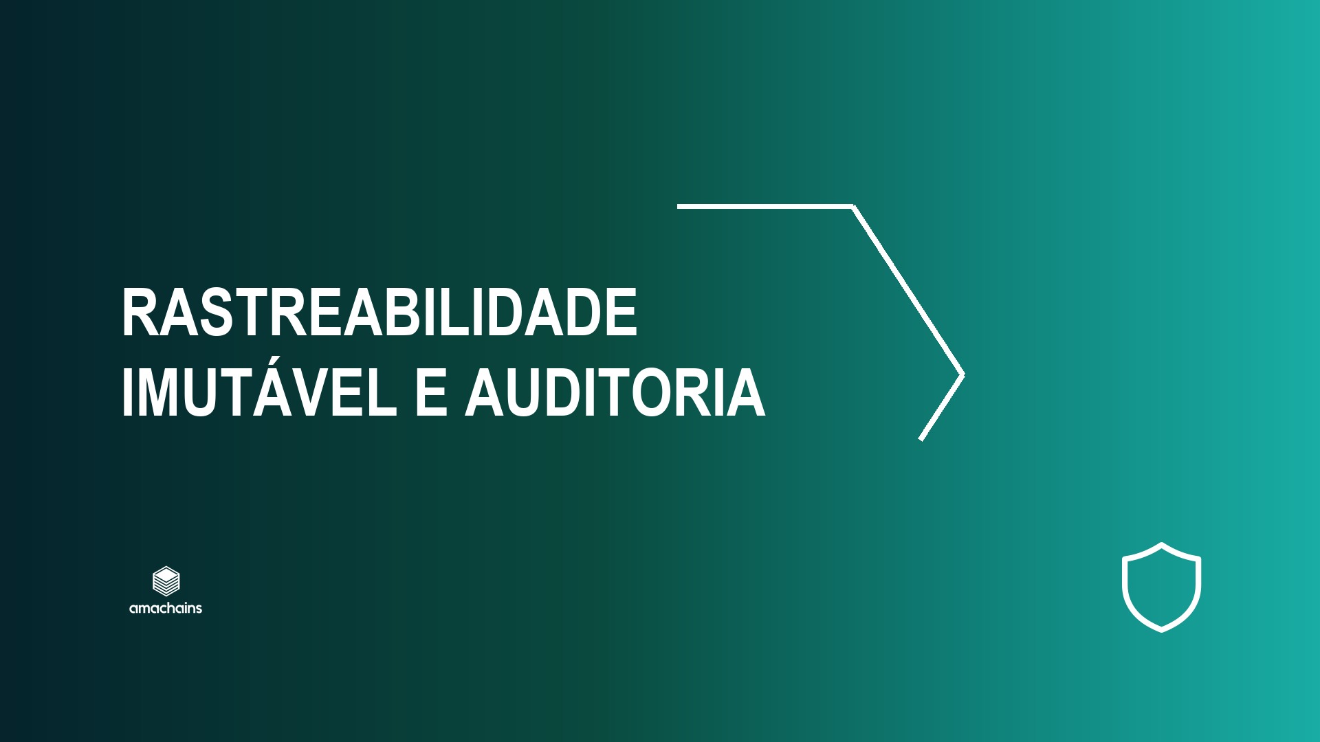 Rastreabilidade imutável: o que um verificador precisa ver na sua pegada de carbono
